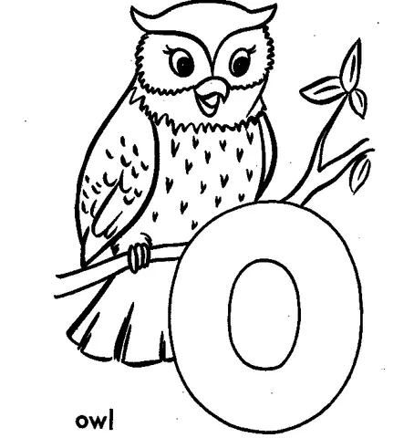 Coloriage Alphabet : un hibou aux grands yeux est assis sur une branche avec une grande lettre O