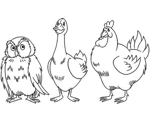 Farm animals coloring page: an owl, a goose, and a rooster standing side by side