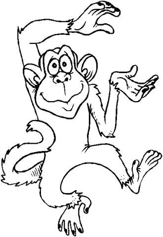Monkey coloring page: a cheerful monkey with wide open arms and a big smile