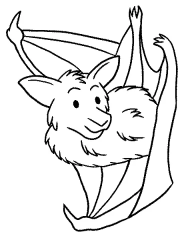 Dibujo de Murciélago para colorear: un murciélago peludo colgando boca abajo de una rama, mirando a la derecha