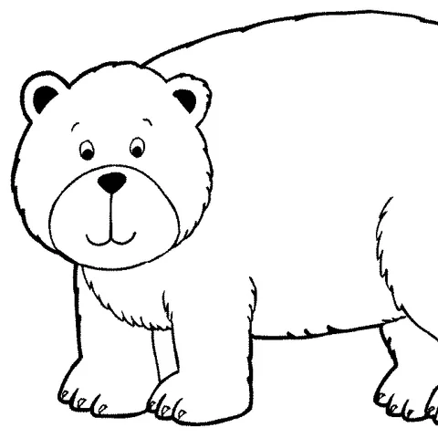 Desenho de urso para colorir: um urso fofo em pé e olhando para a frente