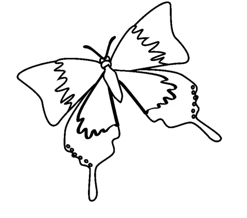 Ausmalbild Schmetterling: ein detaillierter Schmetterling mit gemusterten Flügeln und zwei langen Schwänzen