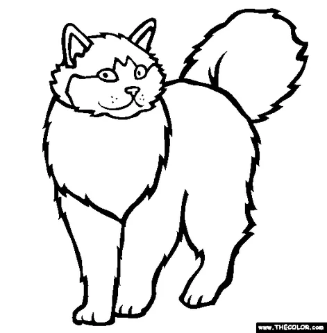 Disegno di gatto da colorare: un gatto soffice con una coda folta in piedi e che guarda sopra la spalla