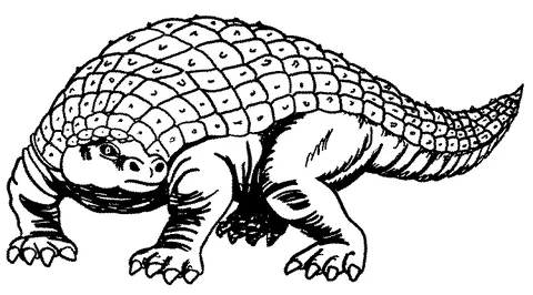 Dinosaur coloring page: an ankylosaurus dinosaur with a scaly shell walking on all fours
