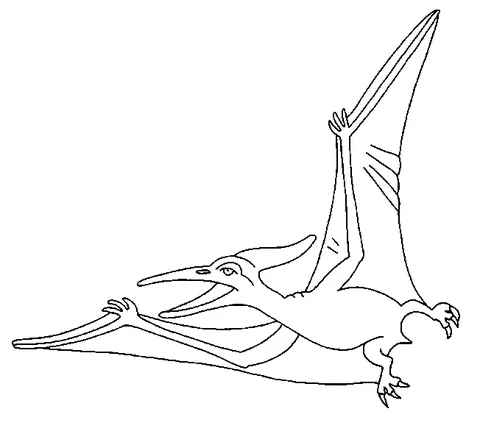 Dinosaur coloring page: a pterodactyl flying with its mouth open and wings spread wide