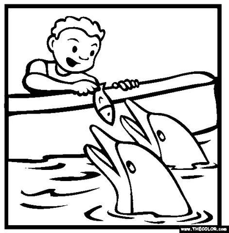 Ausmalbild Delfin: ein Junge in einem Boot füttert zwei Delfine im Wasser mit Fisch