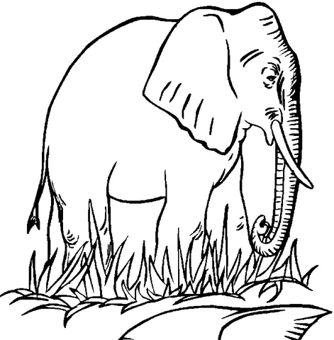 Disegno di Elefante da colorare: un grande elefante in piedi nell'erba alta, rivolto a destra