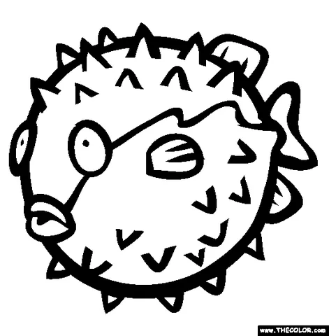 Desenho de peixe para colorir: um baiacu com muitos espinhos afiados cobrindo seu corpo redondo