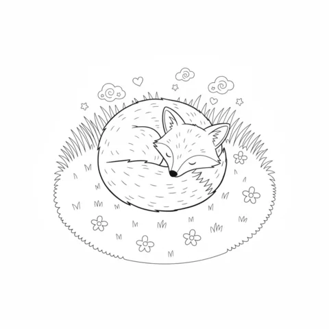 Disegno di volpe da colorare: una volpe carina che dorme raggomitolata in un prato con fiori