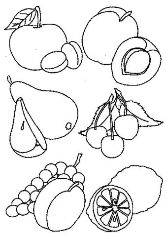 Fruit coloring page: an apple, a peach, a pear, three cherries, a bunch of grapes, and a lemon