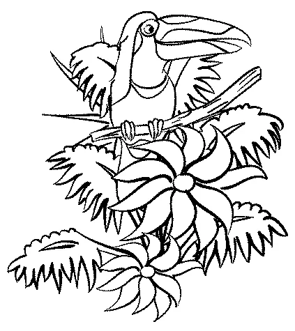Coloriage Animaux de la jungle : un toucan perché sur une branche entouré de grandes fleurs de la jungle