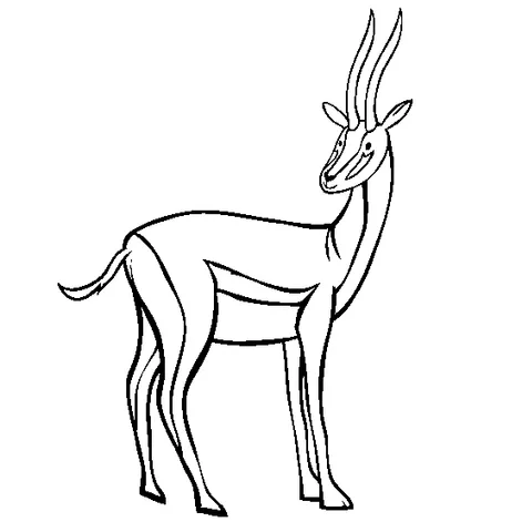 Coloriage Animaux de la jungle : une gazelle grande et élancée avec de longues cornes courbées se tenant de côté