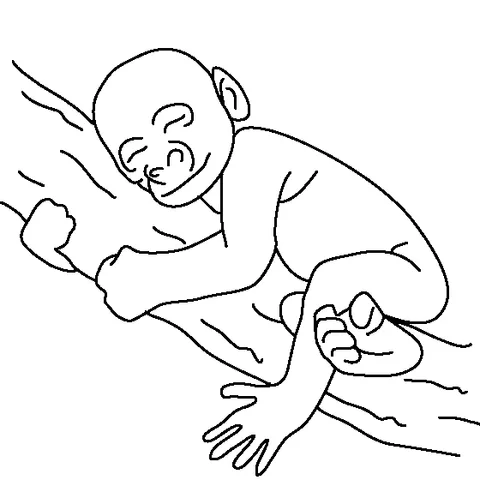 Coloriage Animaux de la jungle : un bébé singe dormant paisiblement sur une grosse branche d'arbre
