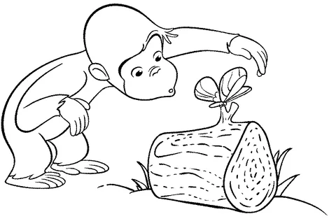 Monkey coloring page: Curious George looking at a butterfly perched on a log