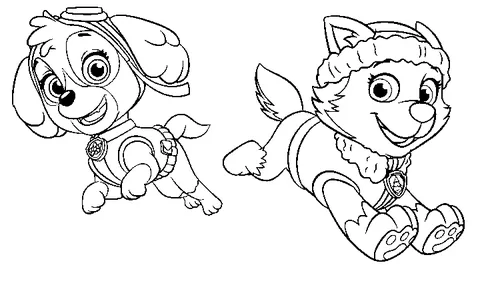 Disegno di Paw Patrol da colorare: Skye ed Everest che volano fianco a fianco, con un'espressione felice