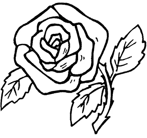 Desenho de Rosas para colorir: uma única rosa com um botão bem fechado e duas folhas