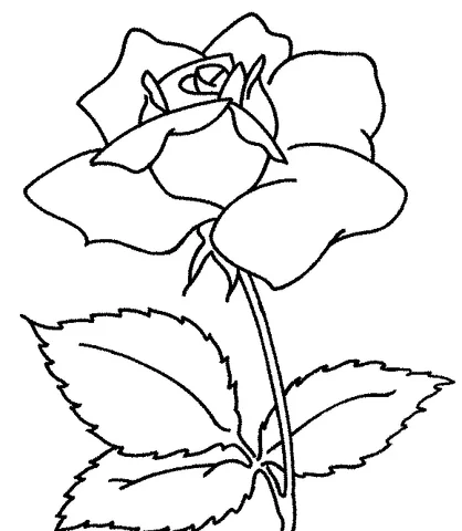 Desenho de Rosas para colorir: uma única rosa com um botão parcialmente aberto e várias folhas